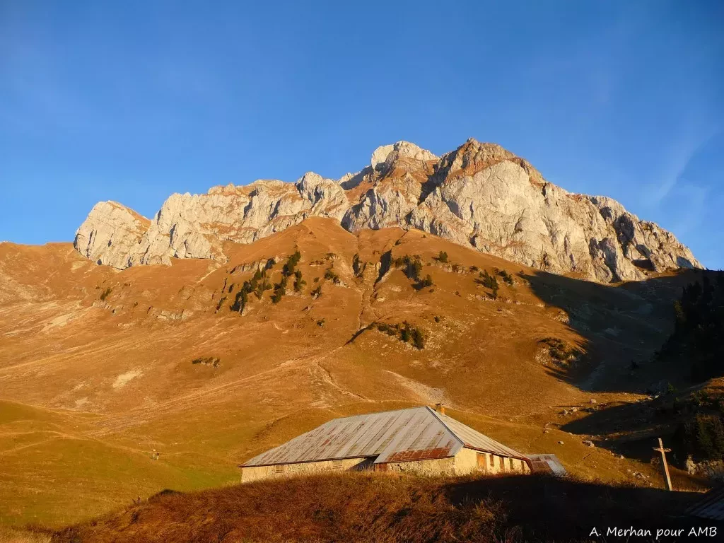 media-libraryrolq7vsfqh3obiN3cQV