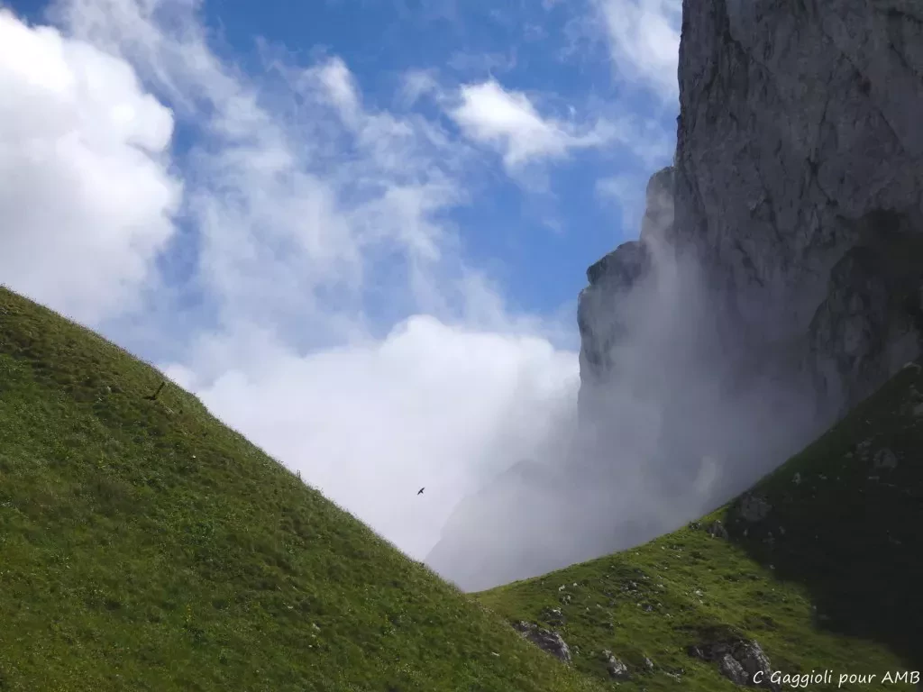 media-libraryfopo86kiiqq9138j3QV