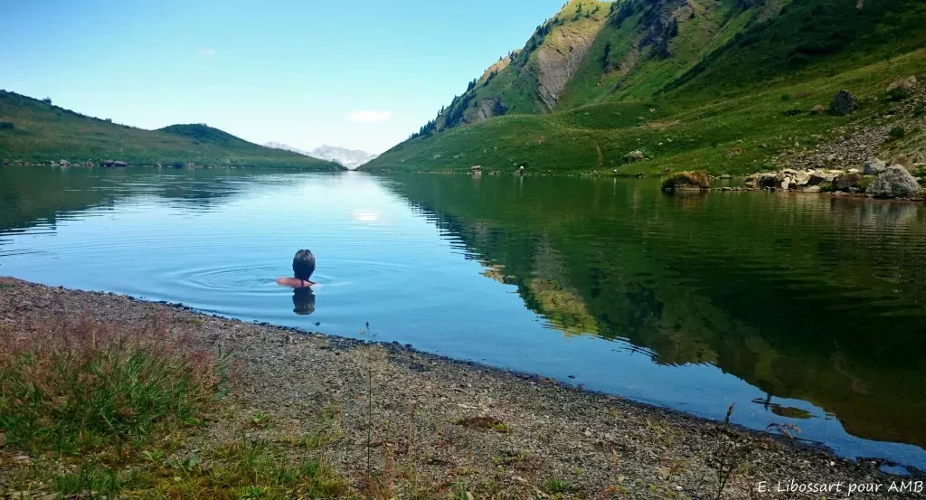 media-librarytieu2bo24ihbeV2gBuT