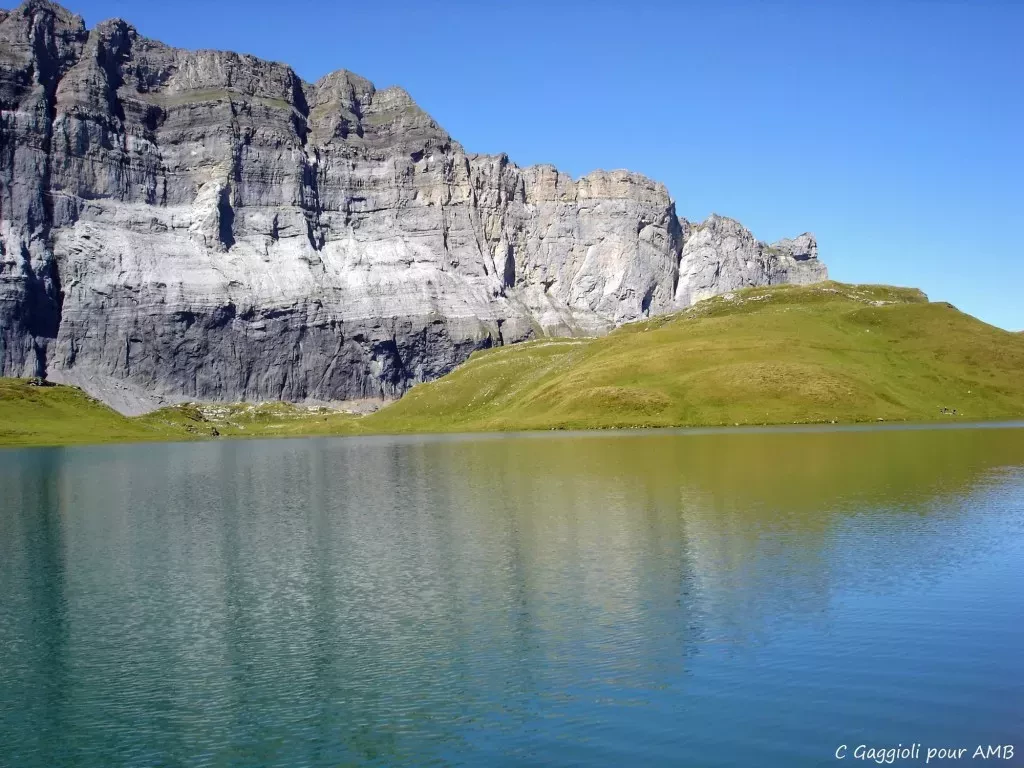 media-libraryttu0riea1qckbmEet6T