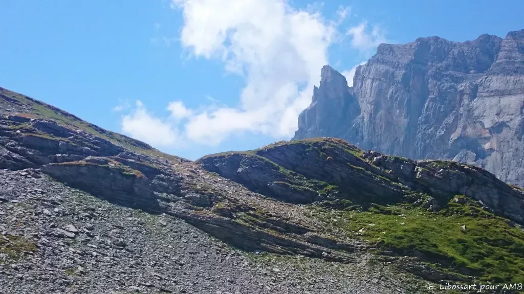 media-librarynlgr90rfkm366XfPZ2S