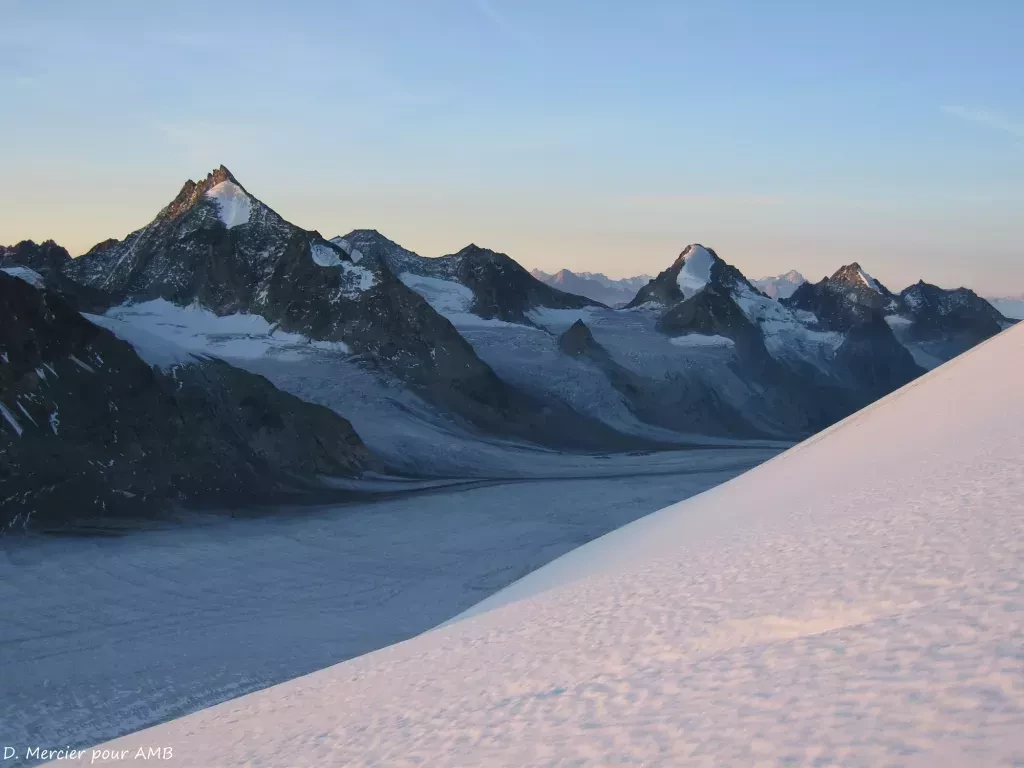 media-libraryarvo6cah4ig0aHfKVnV