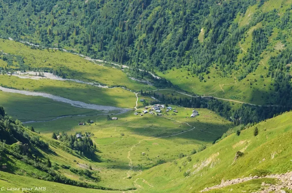 media-libraryel2j9s53mej32IALOjT