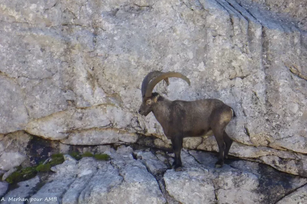 media-libraryk6jugd92r09r1KTsLkW