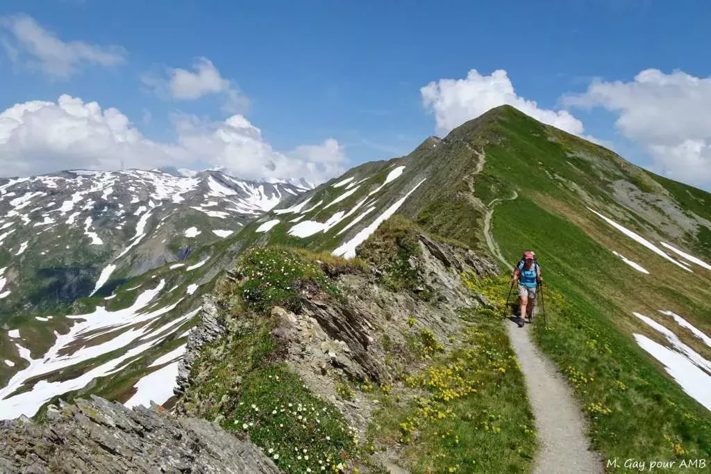 media-libraryrhj82mkld989dnzUV3U