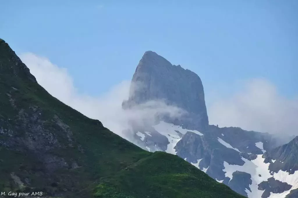 media-libraryl7jlm8c504m83dhfd0S