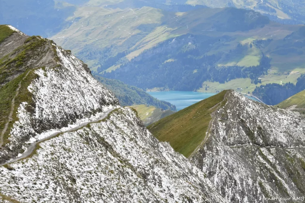 media-library3so6qph8mf7l1NiUq6T