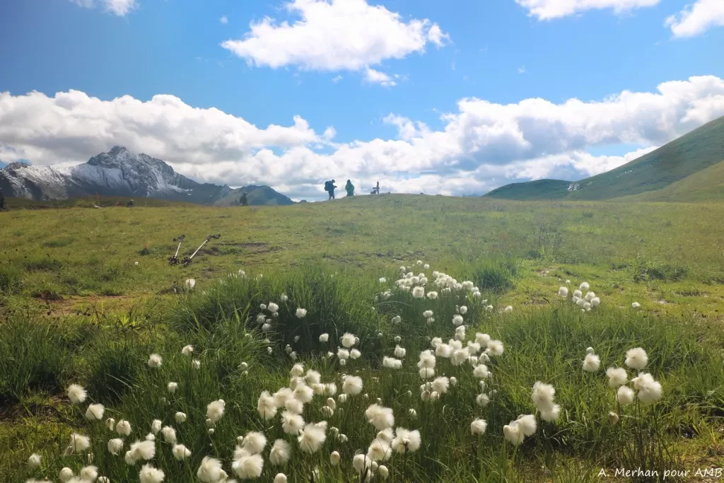 media-library4bkmhn1cd3ui50JdEkX