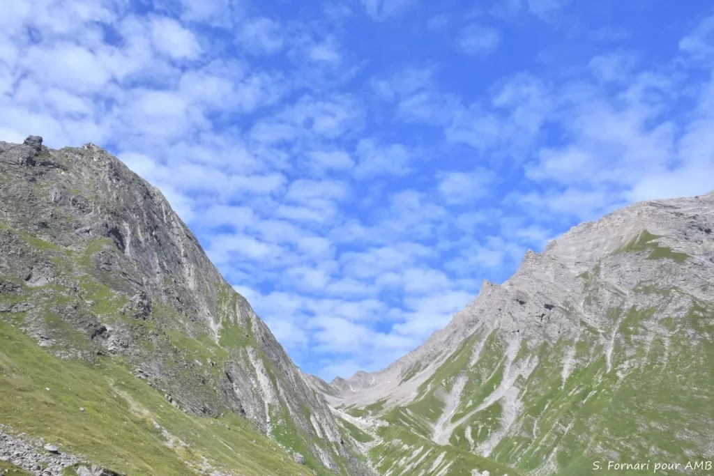 media-librarygg1221v704gmeF6y4QU