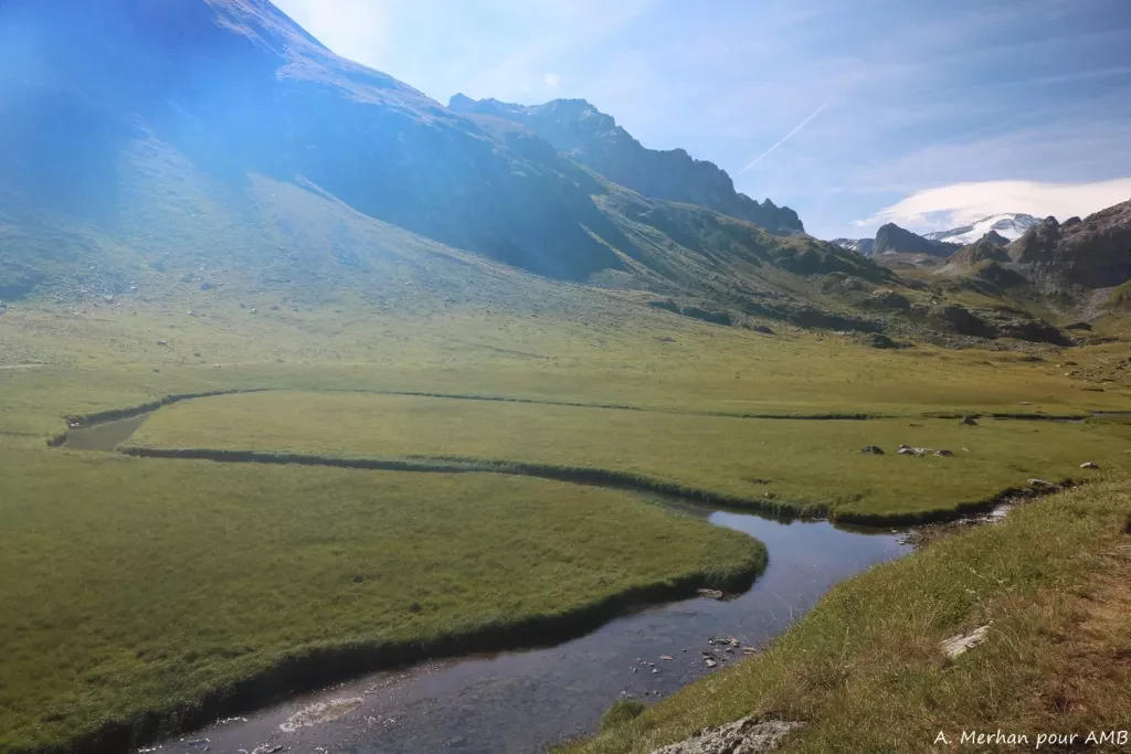 media-librarybmvafdpunleid0lWVhW