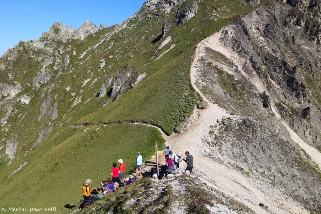 media-libraryt10lttqd2rtcaXpxPfU