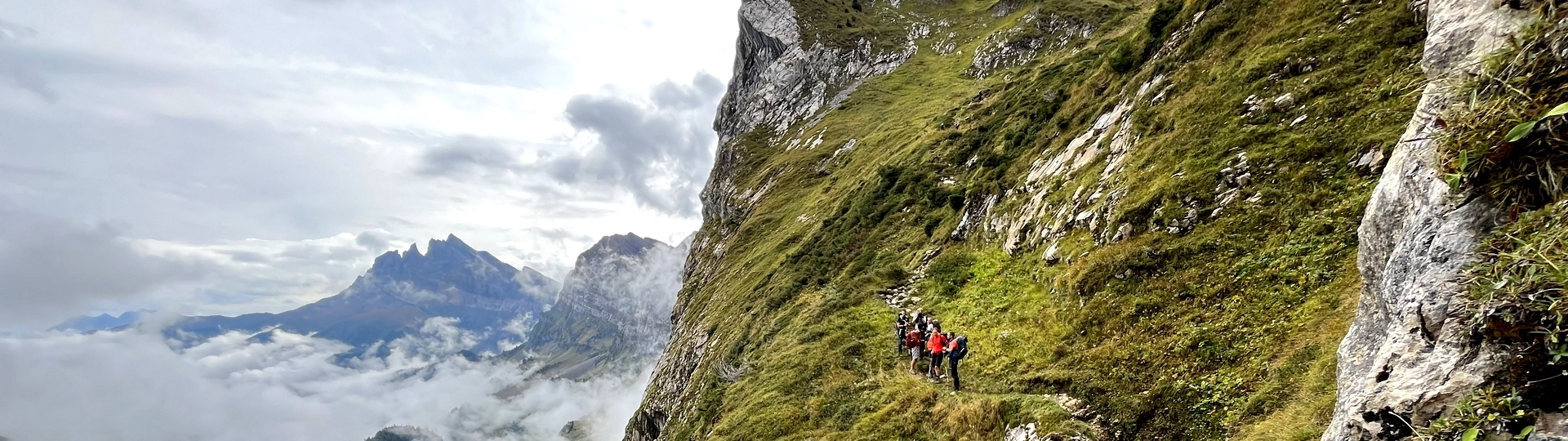 DENTS BLANCHES AIGUILLES ROUGES