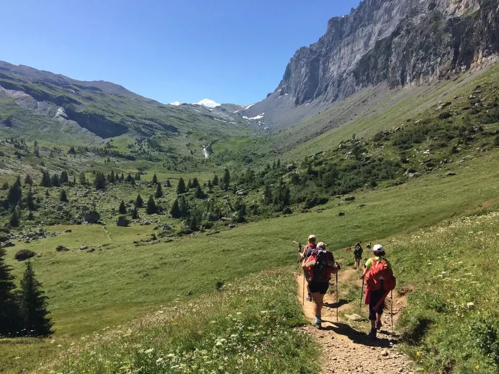 media-library1vr52shgqsn96E4C67U