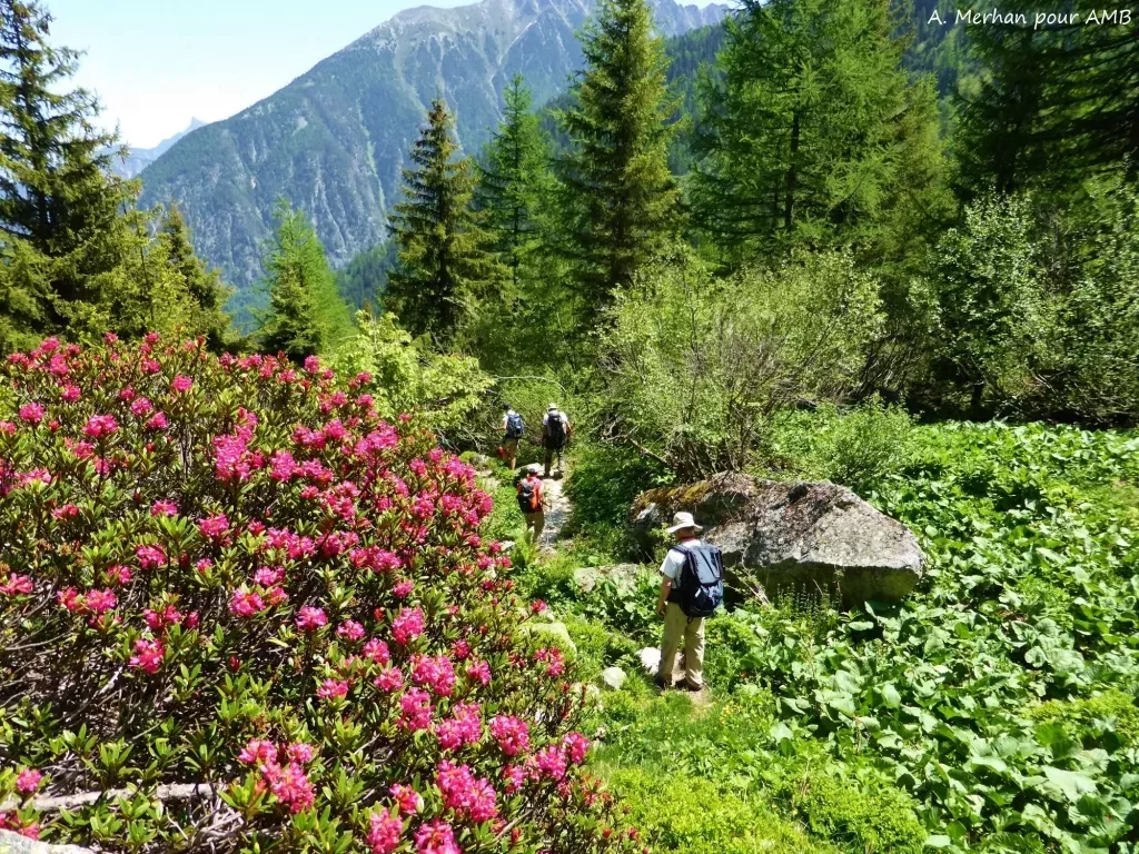 media-libraryk3f9l17ml62f0ATojLT