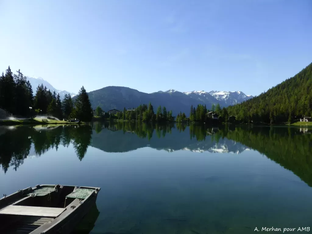 media-library0e7ap7m4mre31FYpPrX