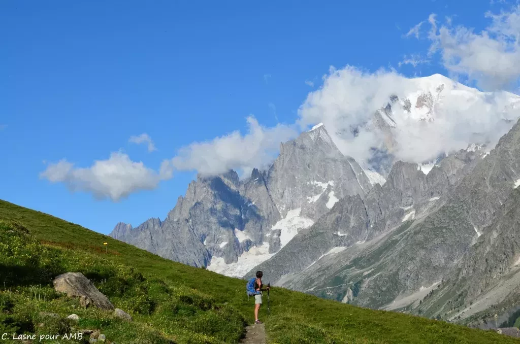 media-libraryvt542oq0747tbKorvWT