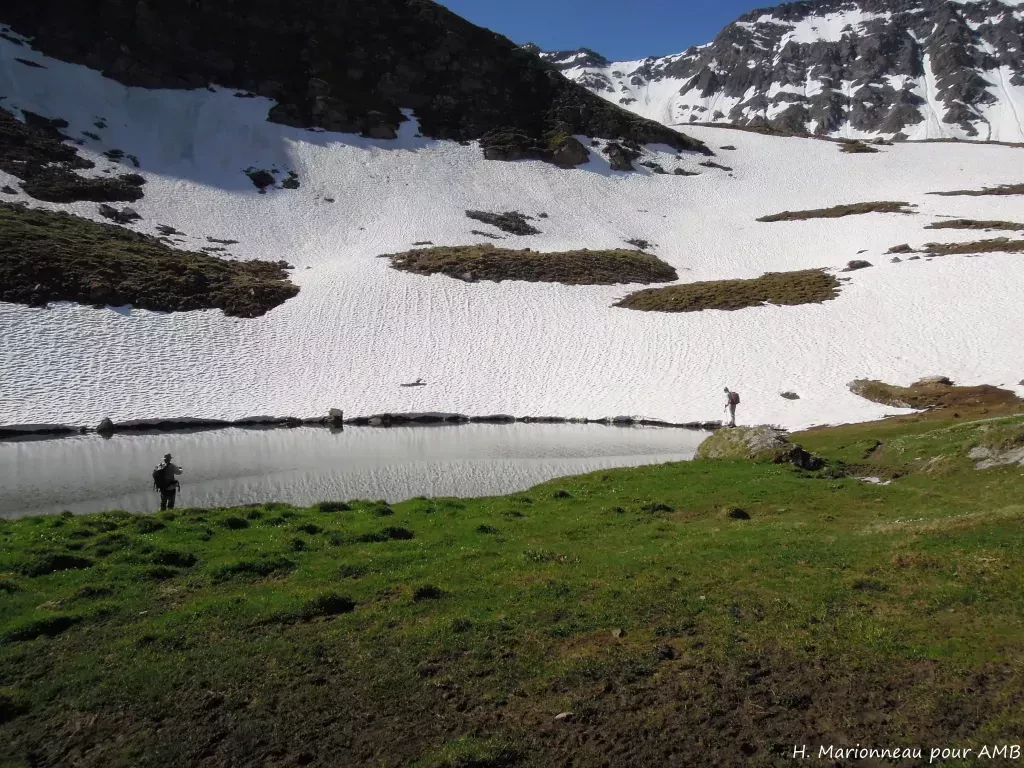 media-library9lt2d6n6omg82VVMuRV