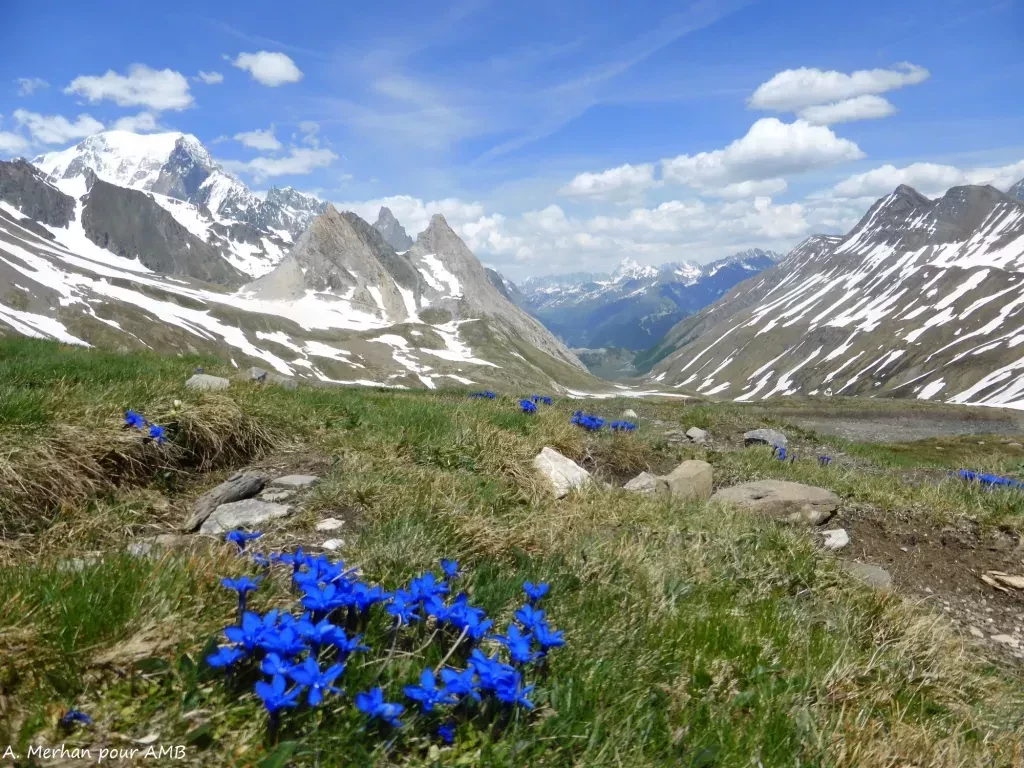 media-librarykhrpkv2dsa8p7lqY3aV