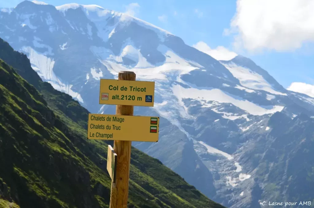 media-librarypqcb2hgo95t7ddsFWkU