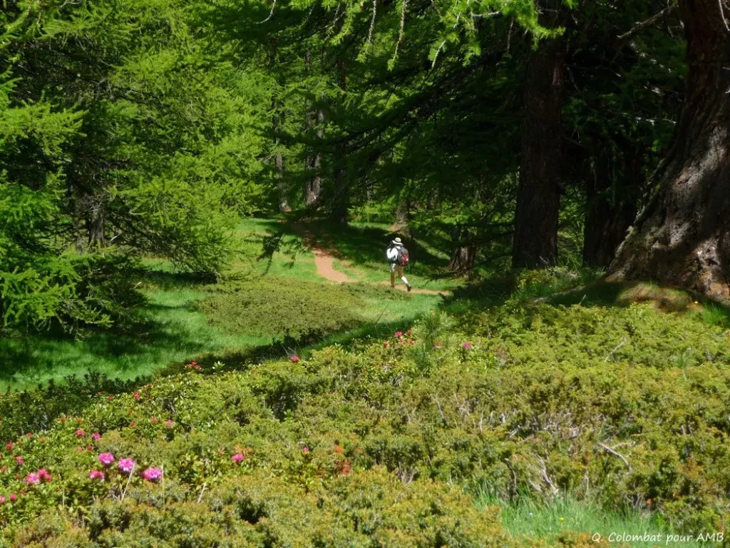 media-librarym3ptfursb06naKvZmpU