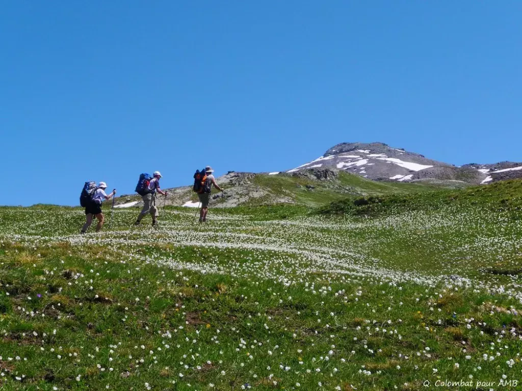 media-library8bheo343bp710pfSrjT