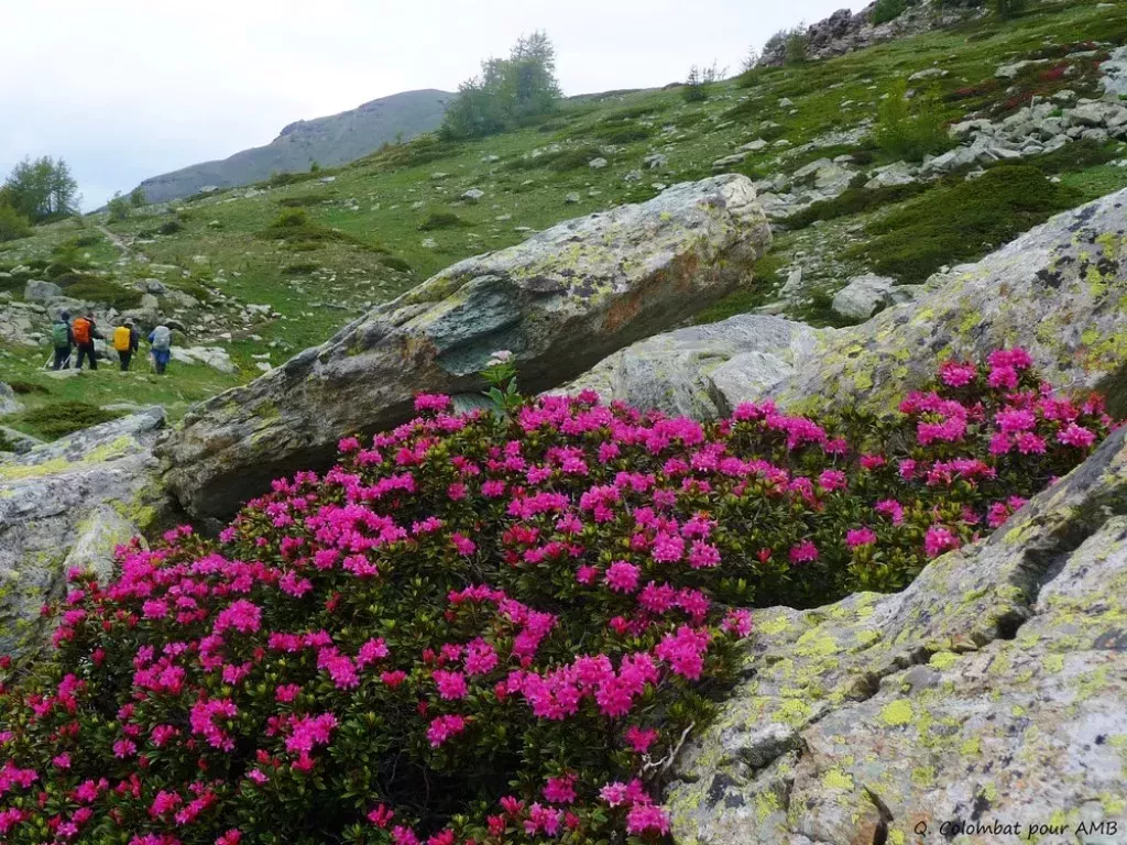 media-librarygp4bck2stt14drWxRtV