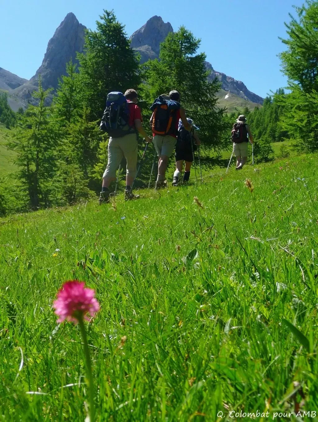 media-libraryi2388fqbpp6qdtpY9SU