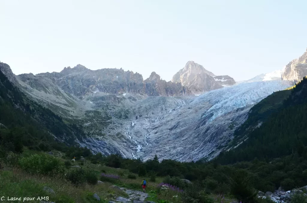 media-libraryfa6ucfp8fsd48sSYstT