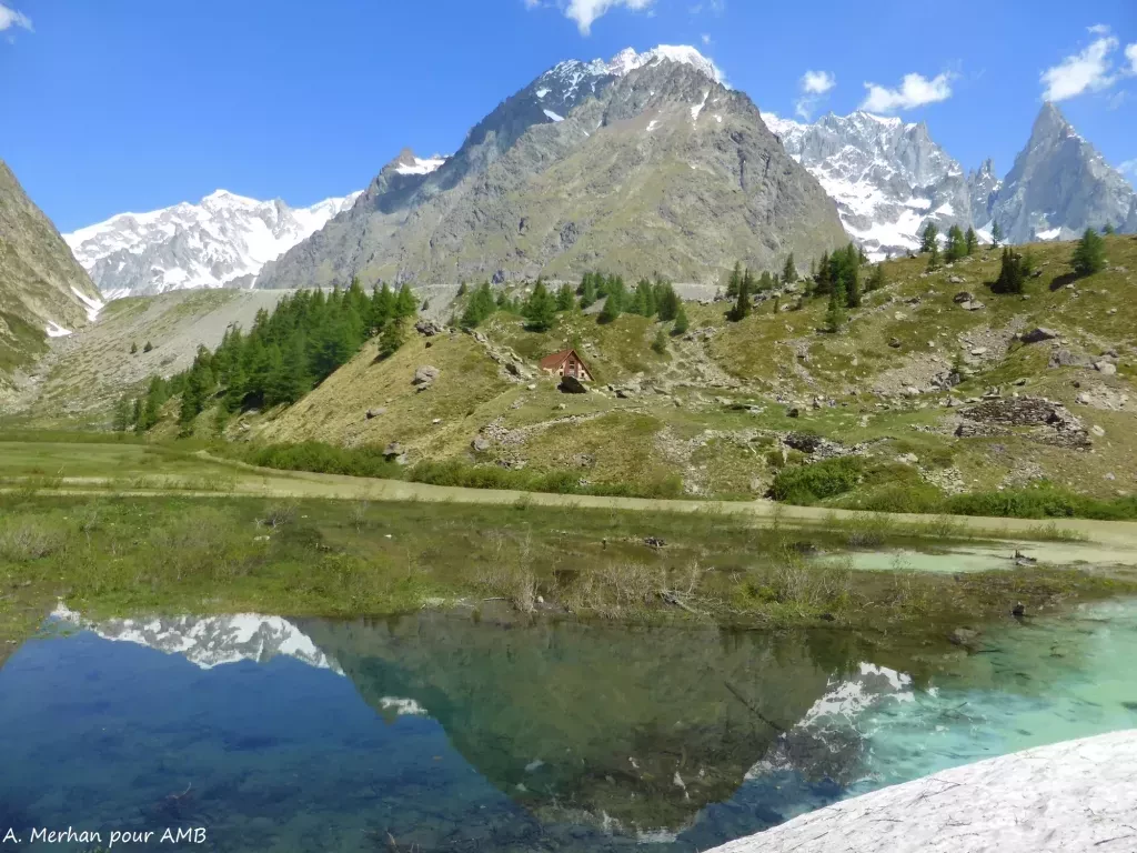 media-libraryus1b8r1u0uro9V63KmT