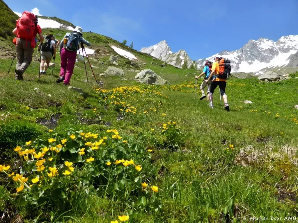 media-librarys07duuvc3i3b4h3xyvX