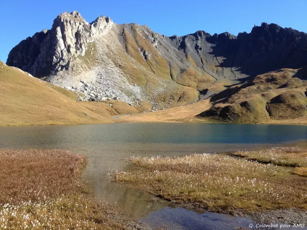 media-libraryoq0kh70ep403cayTEuX