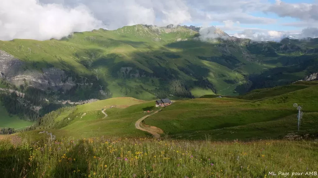 media-libraryo9i2cr40d9l5fqBhBtX