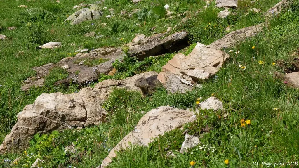 media-library727g0597ueli6vuyBBT