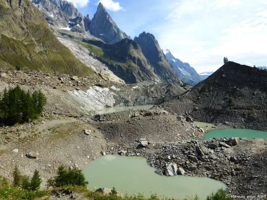 media-library38eegu7qtqsrfNtUq8T