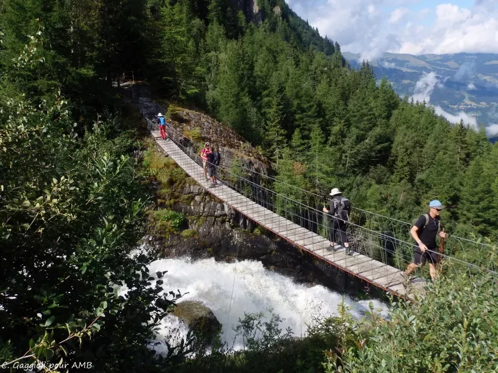 media-libraryupvsd746nmihedZ6P8U