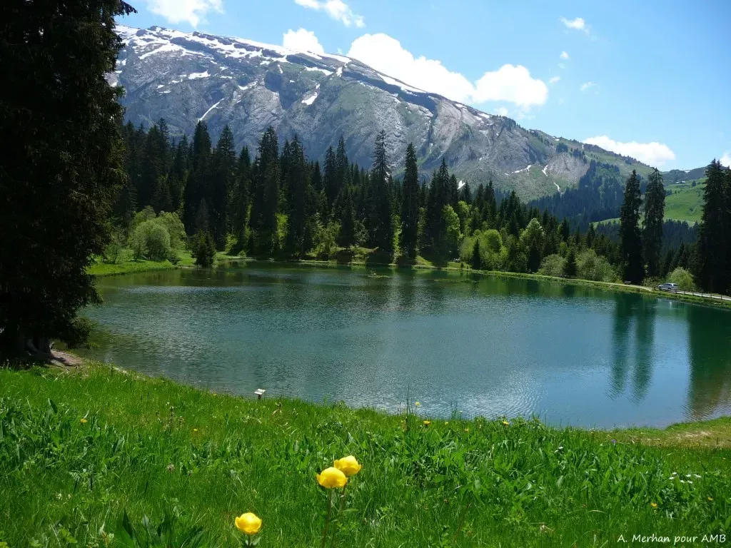 media-libraryusijplsg6oif8BdCalW