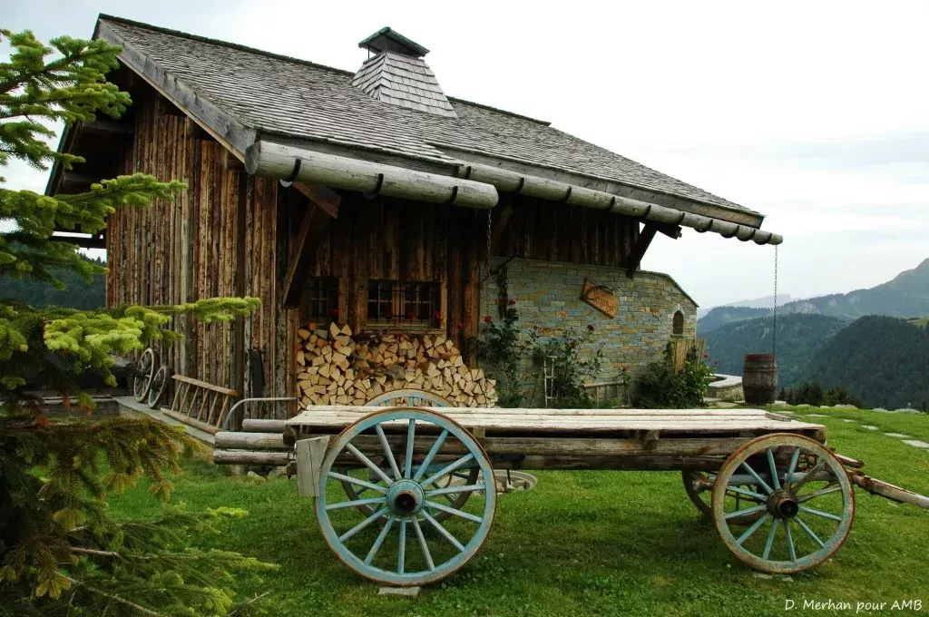 media-libraryks4fvfp94rjbb6OhzxV