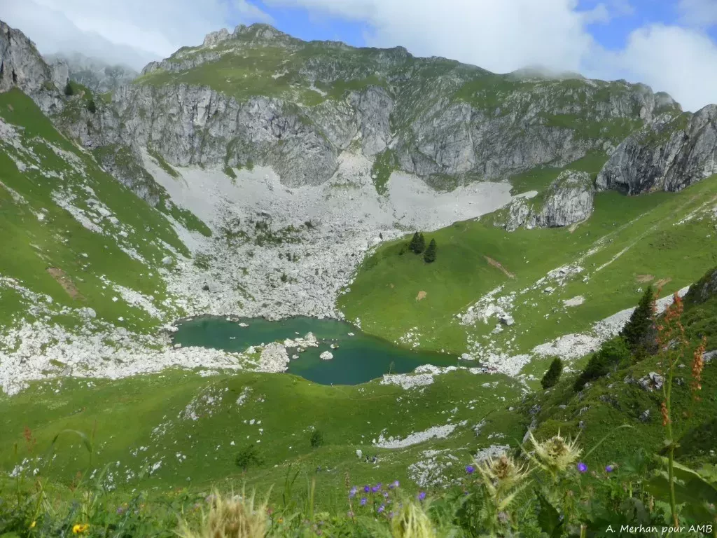 media-library0ikg1pv3131i5rl1gfW