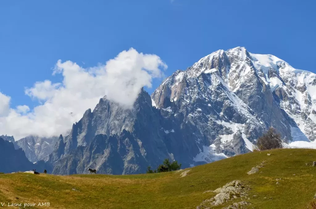 media-librarycbji8kkpti3355sJvqW