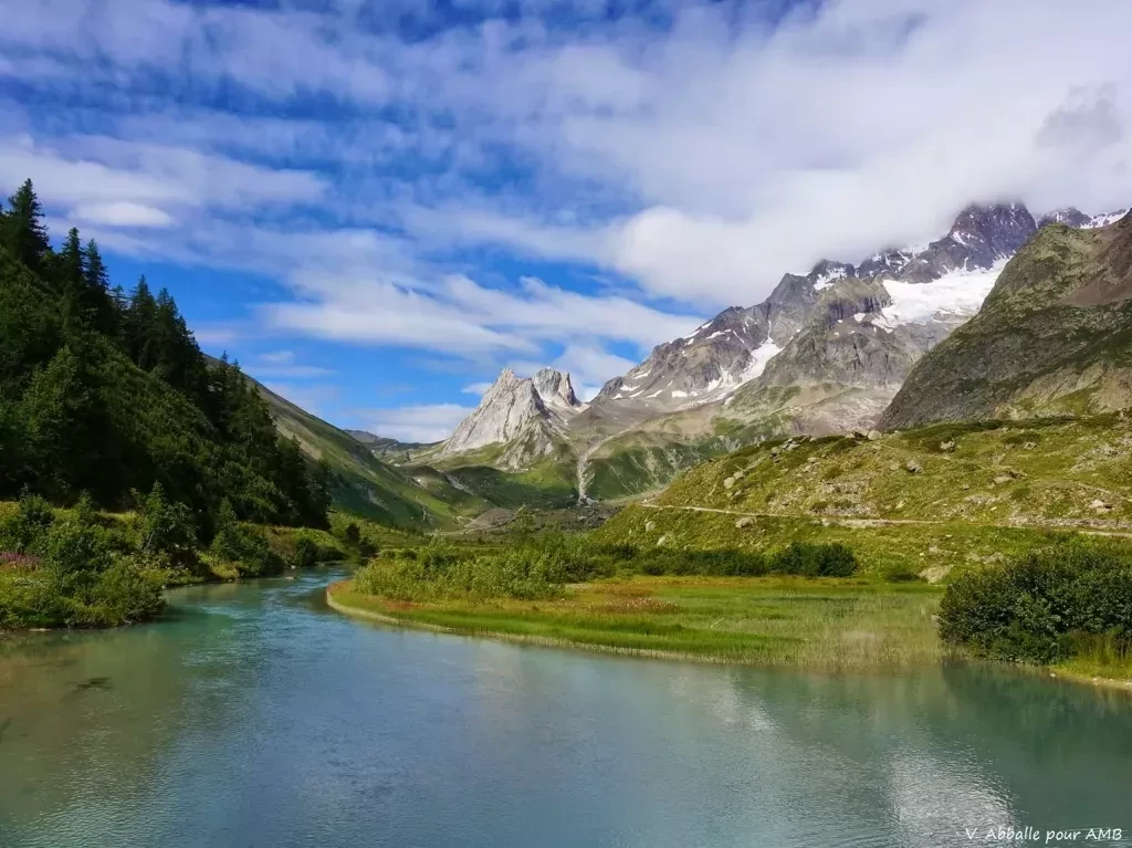 media-library1sps293ufcutaLilLkV