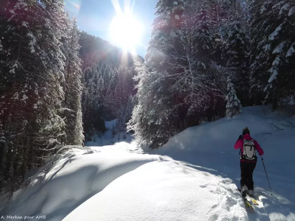 media-libraryk1ob8278l82td38aW8W