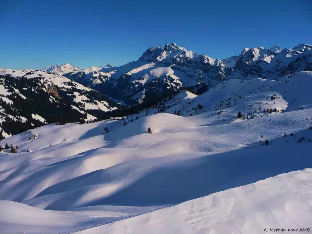 media-librarymldab6hvb2kt0wdumvW