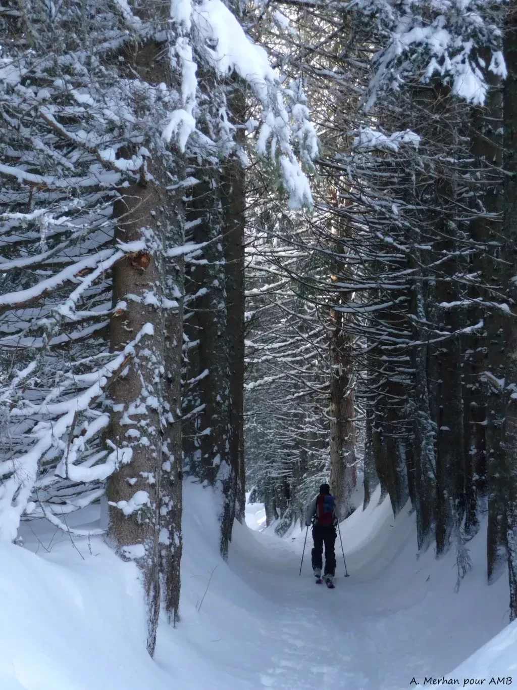 media-library9rcbkcn1p3qfcrq6QTV