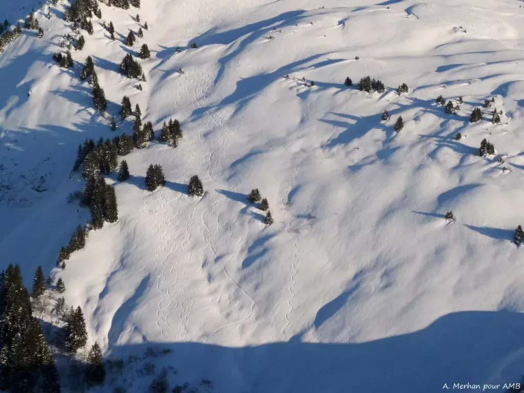 media-librarye7plko3s06o47kRCqxT