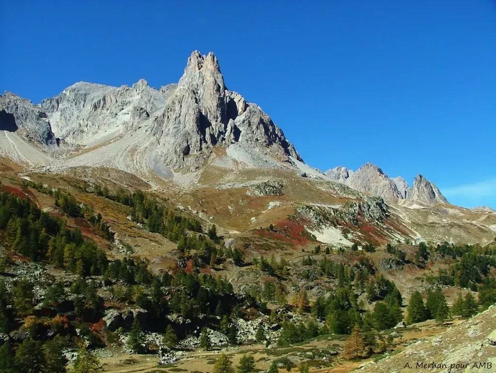 media-libraryiu4sr3sbcdtjfNOc70S