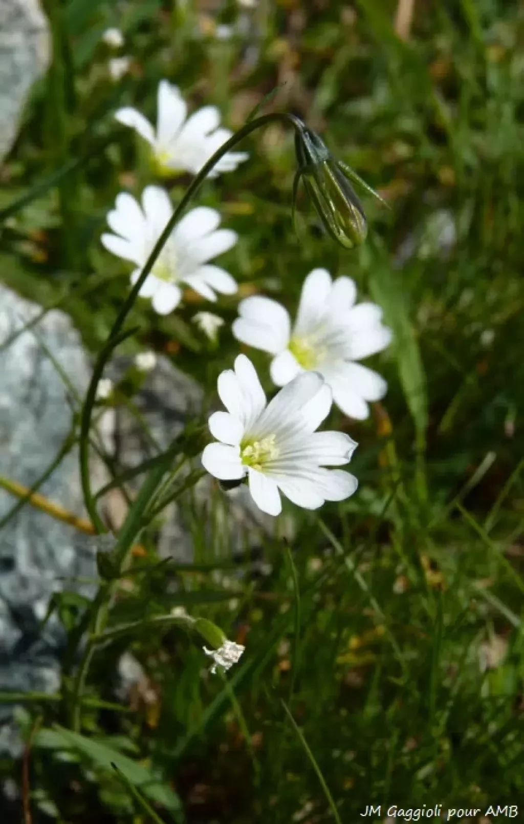 media-librarykm7aun0119ub3jTPpyT