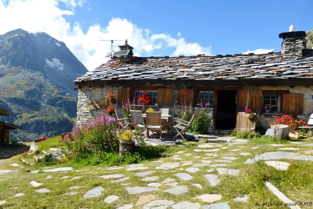 media-librarygoilp7sr1nm8dQitisX