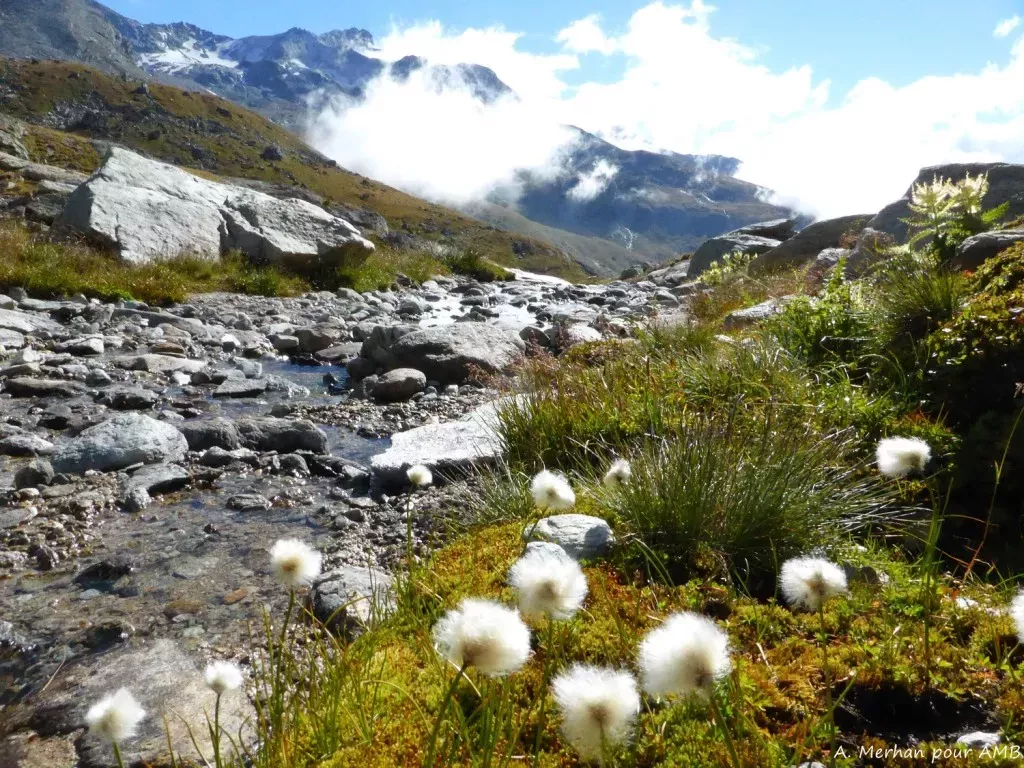 media-libraryafb1mo4fchpi1bQeoeX