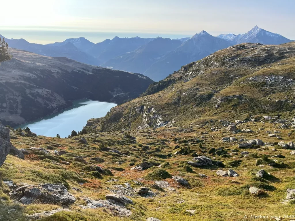 media-library8afr32lbedrb9EsWflT