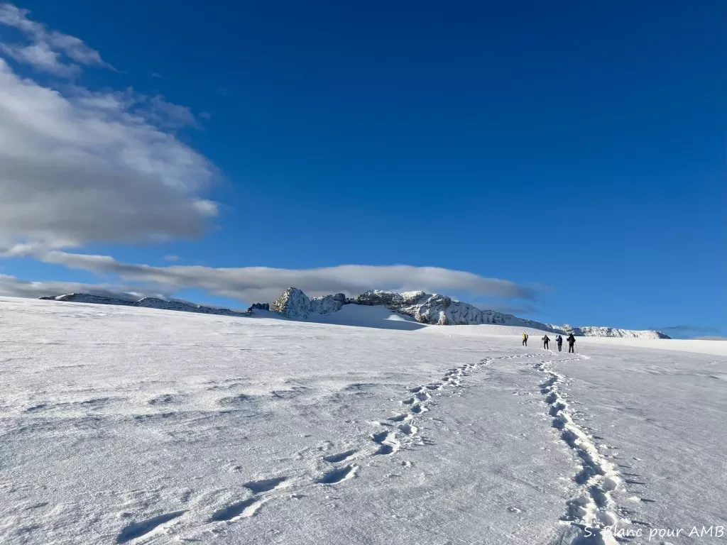 media-library64cm3r35nv1uaodTz6T